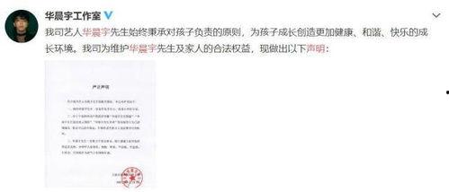 娱乐圈吃瓜暗语,暗语背后的真实故事