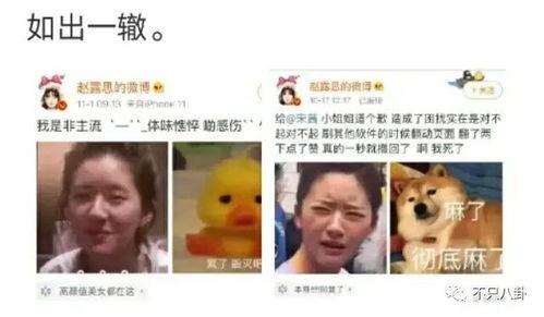 吃瓜吐槽娱乐圈文