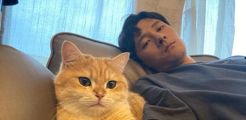 吃瓜娱乐赵小瞒小猫,吃瓜娱乐界的甜蜜萌宠