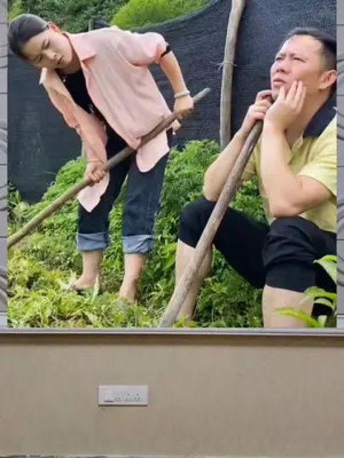 娱乐八卦 吃瓜群众,吃瓜群众视角下的娱乐八卦风云
