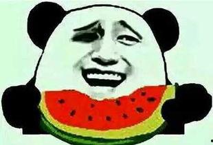娱乐圈中吃瓜群众是谁,揭秘吃瓜群众的身影与影响力