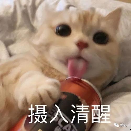 娱乐吃瓜9个段子,揭秘明星幕后故事