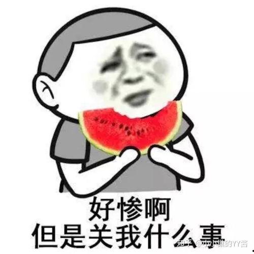 娱乐吃瓜酱这就是夏天,娱乐吃瓜酱带你领略这就是夏天的魅力